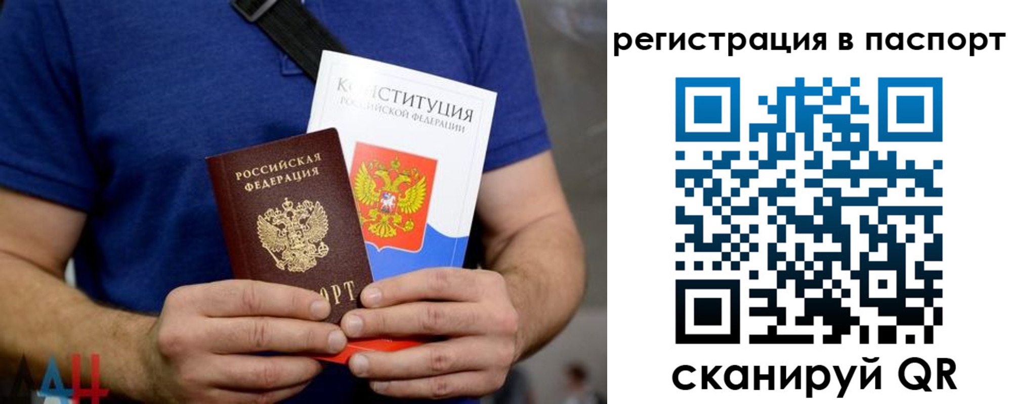 прописка гарантия в Козловке
